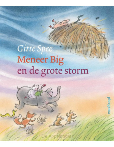 Meneer Big en de grote storm