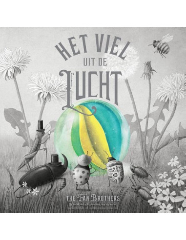 Het viel uit de lucht