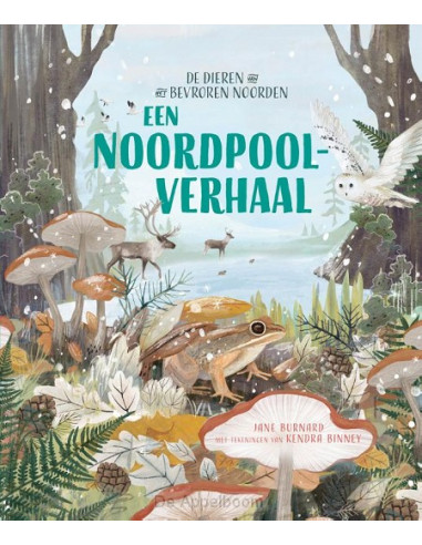 Een Noordpoolverhaal