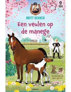 Veulen op de manege