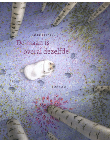 De maan is overal dezelfde