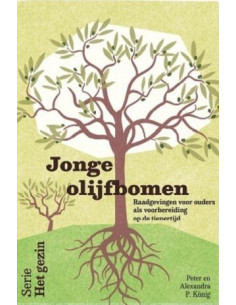 Jonge olijfbomen