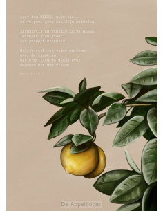 Loof den HEERE, mijn ziel