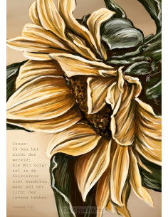 Ik ben het Licht der wereld