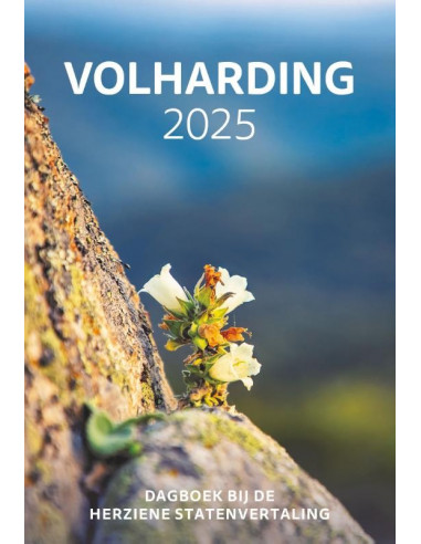 Volharding | 2025