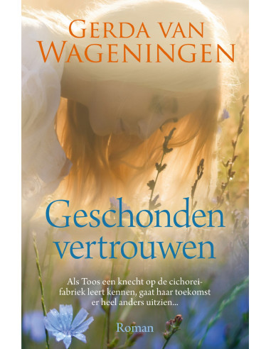 Geschonden vertrouwen