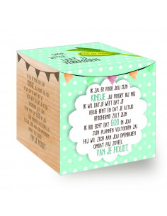 Groei Kubus hout:  Ik zal...