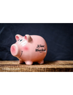 Spaarvarkentje tekst