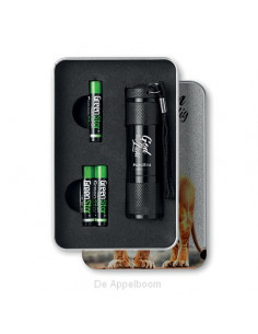 Sterk en moedig leeuw