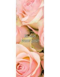 Boekenlegger ik bid voor...