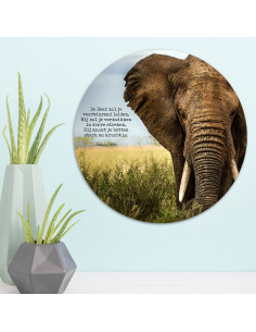 Muurcirkel olifant de Heer...