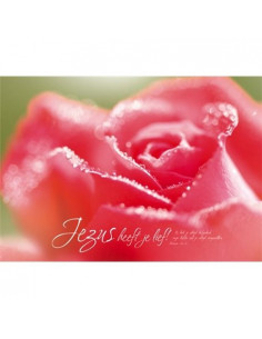 Poster Jezus heeft je lief...