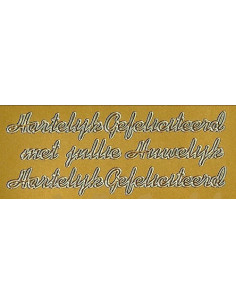Stickervel goud h g...