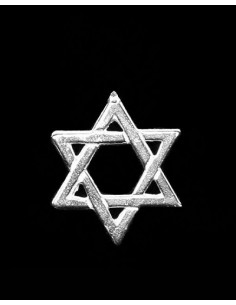 Reverpin zilver davidster...