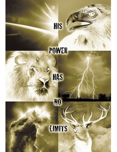 Poster a4 His power has no...