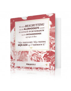 Wie in de beschutting van...