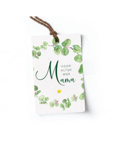 Mijn mama is de liefste