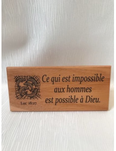 Wandbord 22x10cm ce qui est...