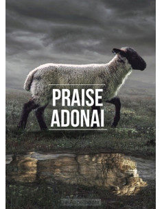 Poster 50x70 praise adonai