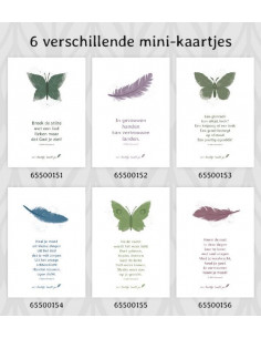 Setje 6 Minikaartjes Joke...