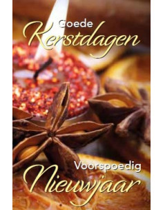 Goede Kerstdagen en Vnj