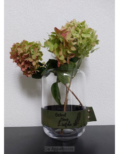 Vaas Nordic M: Geloof Hoop...