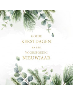 Kerstbox Goede K/N