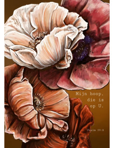 Poster A4 Mijn hoop, die is...