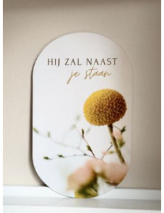 Muurvorm- Hij zal naast je...