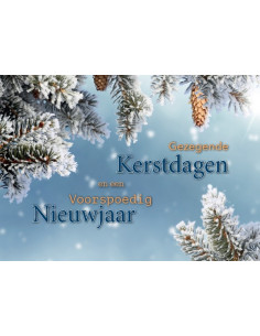 Map 5 Prentbriefkaarten...