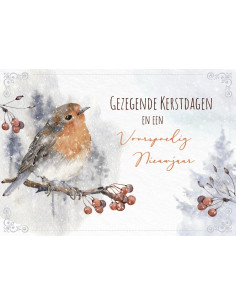 Map 5 Prentbriefkaarten...