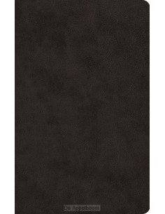 ESV - LP Value Thinline Bible