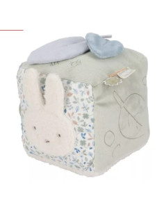 Activiteitenkubus Lucky...