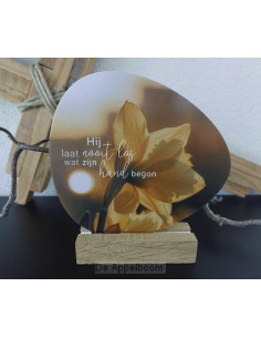 Rotsje voor jou -Hij laat...