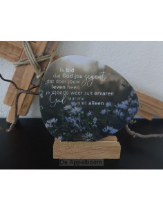 Rotsje voor jou -Ik bid dat...