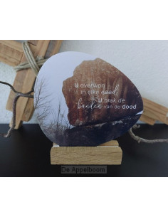 Rotsje voor jou -U overwon...