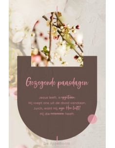 Wenskaart Jezus leeft