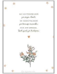 Als achteromkijken...