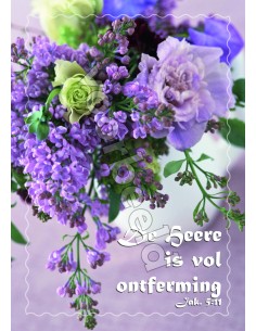 20-21 10x hoogglans zonder...