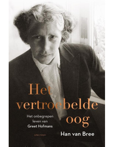 Het vertroebelde oog