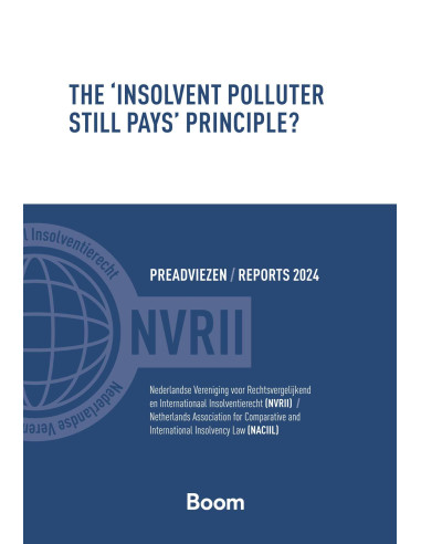 The 'Insolvent Polluter Still Pays' Prin