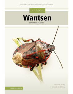 Veldgids Wantsen