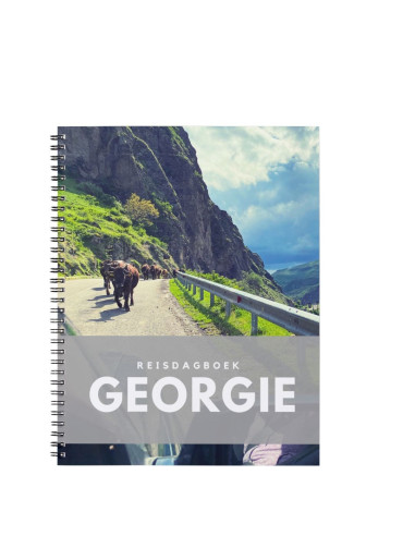 Reisdagboek Georgie