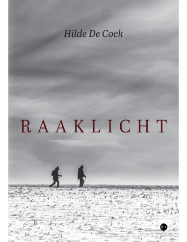 Raaklicht