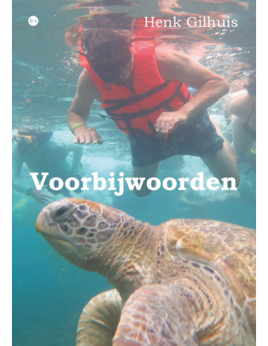 Voorbijwoorden