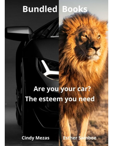 Bundled Books: Are You Your Car? | The E