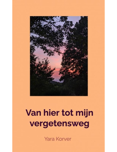 Van hier tot mijn vergetensweg
