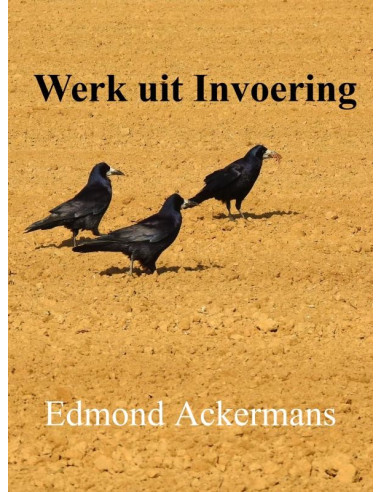 Werk uit invoering
