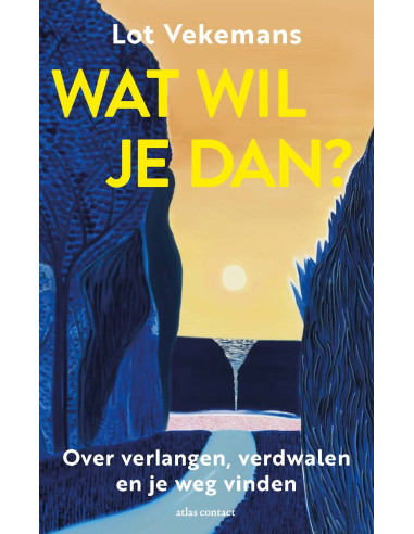 Wat wil je dan?