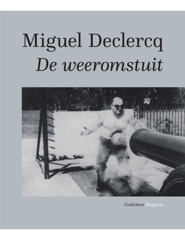 De weeromstuit